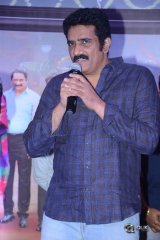 Ammammagarillu Movie Successmeet